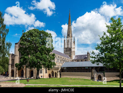 Cathédrale de Norwich, Norwich, Norfolk, England, UK Banque D'Images