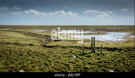 Les basses terres côtières de l'Angleterre offrent certains des plus grands marais salants naturels au Royaume-Uni. Frampton Marsh sur l'estuaire de la laver dans le Lincolnshire Banque D'Images