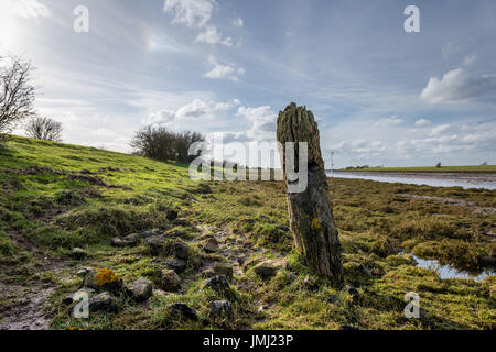 Les basses terres côtières de l'Angleterre offrent certains des plus grands marais salants naturels au Royaume-Uni. Frampton Marsh sur l'estuaire de la laver dans le Lincolnshire Banque D'Images