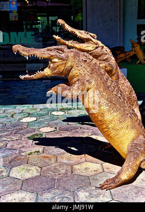 Cambodge Siem Reap crocodile en peluche, un magasin de souvenirs d'un tuteur Banque D'Images