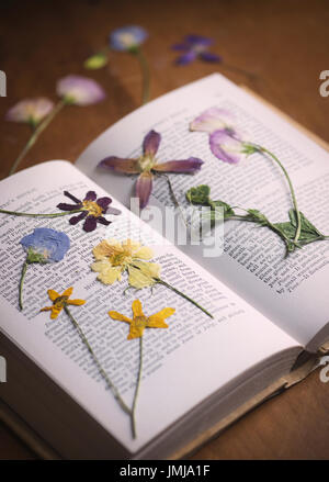 Appuyé sur les fleurs séchées dans un livre sur une table en bois. UK Banque D'Images