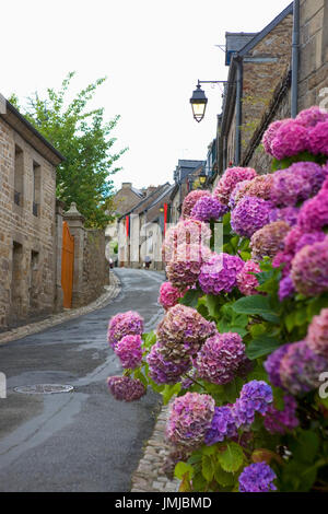 Rue de la pompe, Moncontour, Côtes d'Armor, Bretagne, France, avec hortensias au premier plan Banque D'Images