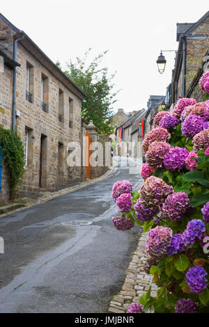 Rue de la pompe, Moncontour, Côtes d'Armor, Bretagne, France, avec hortensias au premier plan Banque D'Images