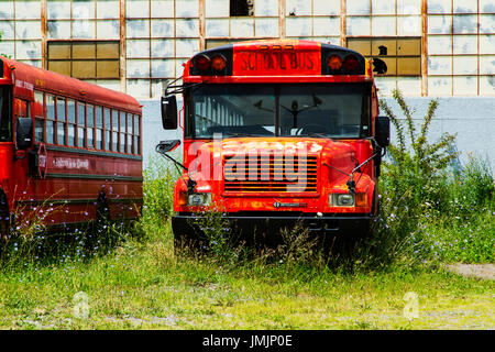 Detroit Michigan USA School bus garé dans le lot. Banque D'Images