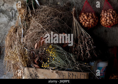 D'herbes séchées et d'amandes au magasin de la ferme, Tarragone, Espagne. Banque D'Images