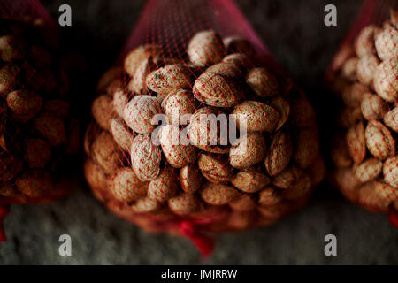 Amandes bio, Tarragone, Espagne. Banque D'Images