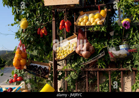 Entrée colorée à batterie locale boutique, nr, Cherta, Tarragone, Espagne. Banque D'Images