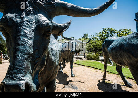 Une taille de la vie de bétail dans le bronze à Pioneer Park et cimetière dans le centre-ville de Dallas, au Texas. Banque D'Images