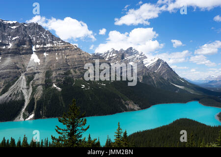 Magnifique à couper le souffle. Tout simplement magnifique ! Vue sur le Lac Peyto, Banff National Park Banque D'Images