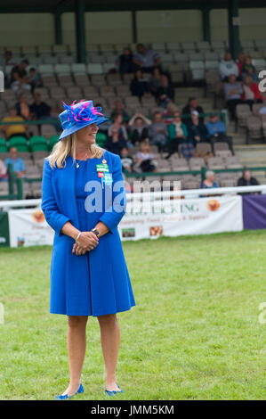 Llanelwedd, Powys, au Royaume-Uni. 27 juillet, 2017. Les juges et les commissaires sont vus dans le ring le dernier jour de la Royal Welsh Show. Le Royal Welsh Show agricole est salué comme le plus grand et plus prestigieux événement du genre en Europe. Plus de 200 000 visiteurs y viennent pour la période de quatre jours. Le tout premier spectacle a été à Aberystwyth en 1904 et a attiré 442 entrées de l'élevage. Credit : Graham M. Lawrence/Alamy Live News Banque D'Images