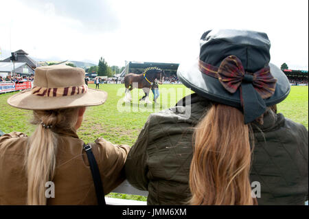 Llanelwedd, Powys, au Royaume-Uni. 27 juillet, 2017. Les gens regardent le défilé des champions événement sur le dernier jour de la Royal Welsh Show. Le Royal Welsh Show agricole est salué comme le plus grand et plus prestigieux événement du genre en Europe. Plus de 200 000 visiteurs y viennent pour la période de quatre jours. Le tout premier spectacle a été à Aberystwyth en 1904 et a attiré 442 entrées de l'élevage. Credit : Graham M. Lawrence/Alamy Live News Banque D'Images