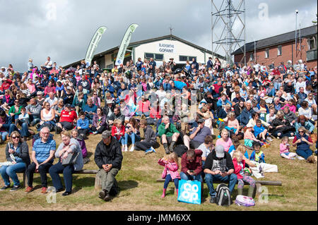 Llanelwedd, Powys, au Royaume-Uni. 27 juillet, 2017. La colline de visualisation à l'anneau principal est le dernier jour de la Royal Welsh Show. Le Royal Welsh Show agricole est salué comme le plus grand et plus prestigieux événement du genre en Europe. Plus de 200 000 visiteurs y viennent pour la période de quatre jours. Le tout premier spectacle a été à Aberystwyth en 1904 et a attiré 442 entrées de l'élevage. Credit : Graham M. Lawrence/Alamy Live News Banque D'Images