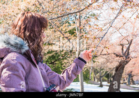 Jeune femme à la fleur de cerisier endommagé à l'agence à Washington DC Banque D'Images