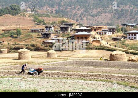 Agriculteur agriculture machine mini tracteur pour préparer les terres pour les semis au district de Punakha, Bhoutan Banque D'Images