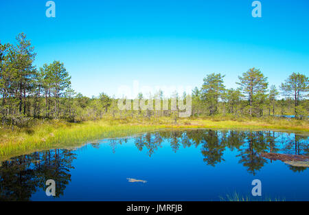 Le lac marais Viru Raba en Estonie. Banque D'Images