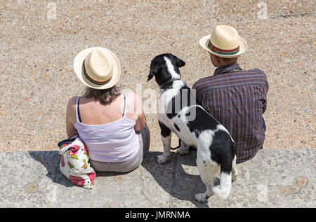 Regardant vers le bas plus de couple mur du port avec chien à Lyme Regis, dans le Dorset en Juillet Banque D'Images