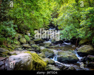 Torc Waterfall près de Killarney à l'Anneau du Kerry, Irlande Banque D'Images