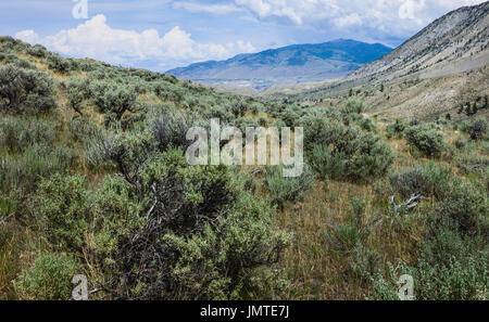 Le paysage aride des prairies, avec l'armoise, montagnes, herbes, par une belle journée ensoleillée en été, Montana, USA. Banque D'Images