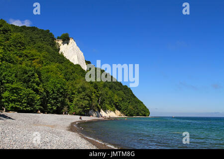 Falaises de craie Königsstuhl, Président du Roi, parc national de Jasmund, Sassnitz, Mecklembourg-Poméranie-Occidentale, Allemagne, Europe Banque D'Images