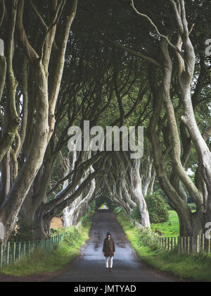 Seule fille au milieu de la rue de la célèbre Dark Hedges, Irlande du Nord, Royaume-Uni Banque D'Images