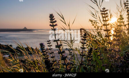 Coucher de soleil avec le Mont Saint Michel. Banque D'Images