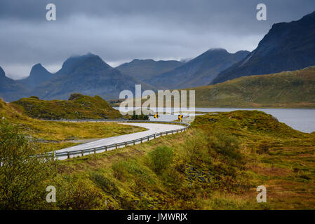 Forte d'asphalte de la route courbe le long de la forêt et montagne, les îles Lofoten, Norvège Banque D'Images