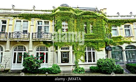 Un ancien bâtiment couvert avec des plantes de lierre à Baden-Baden, Bade-Wurtemberg, Allemagne Banque D'Images