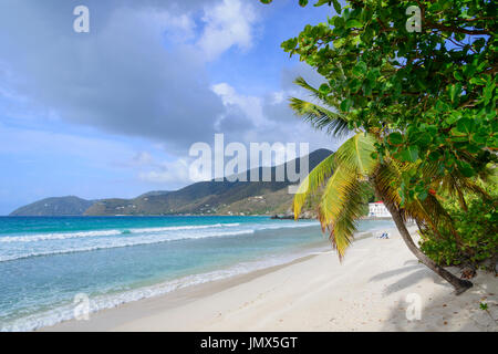 Plage de sable fin et palmiers, l'île de Tortola, British Virgin Islands, mer des Caraïbes Banque D'Images