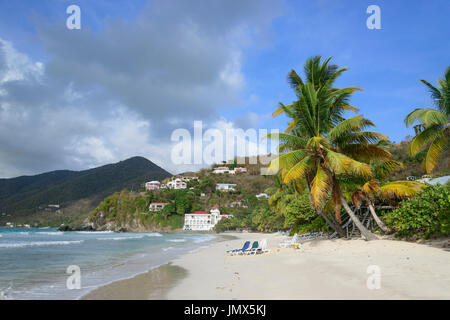 Plage de sable fin et palmiers, l'île de Tortola, British Virgin Islands, mer des Caraïbes Banque D'Images