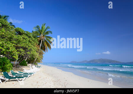 Plage de sable fin et palmiers, l'île de Tortola, British Virgin Islands, mer des Caraïbes Banque D'Images