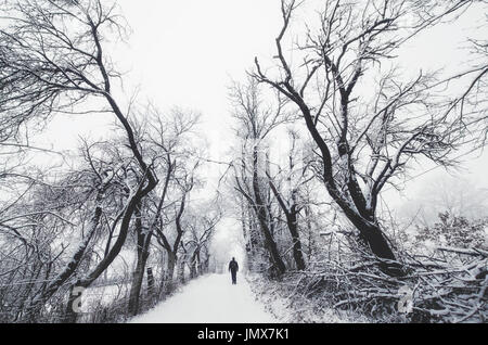 Homme marchant sur le chemin entre les arbres enneigés effrayant en hiver, Imaginaire Paysage Banque D'Images