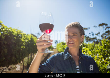 Vin féminin examen de verre de vin de la vigne Banque D'Images