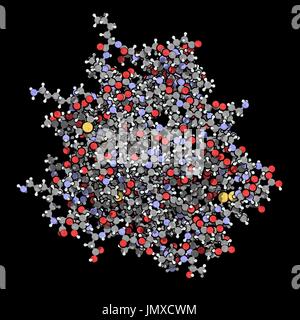 La protéine bêta-lactoglobuline bovine. Les principales protéines de lactosérum, présent dans le lait de vache. Allergène alimentaire important. Ball-and-stick modèle avec codage couleur classiques. Banque D'Images