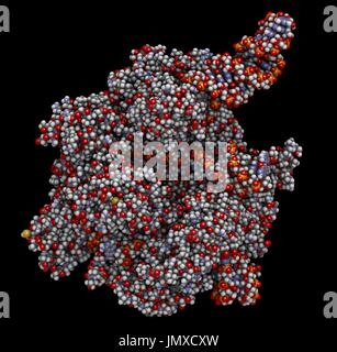 CRISPR-CAS COMPLEXES D'ÉDITION9 de Streptococcus pyogenes. La SAE9 protéines nucléase utilise une séquence d'ARN guide pour couper l'ADN à un site complémentaire. Utilisé dans l'ingénierie des génomes et de la thérapie génique. Remplissage de l'espace modèle avec codage couleur classiques. Banque D'Images