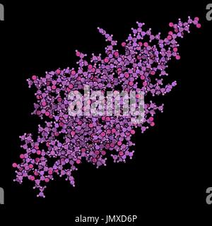 La mort cellulaire programmée (1 PD-1, protéine du récepteur CD279). PD-1 est l'une des principales cibles des médicaments contre le cancer. Ball-and-stick modèle. Banque D'Images