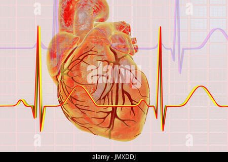 Illustration montrant un cœur recouvert d'un électrocardiogramme (ECG). Banque D'Images