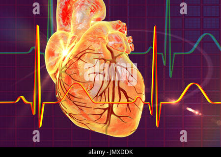 Illustration montrant un cœur recouvert d'un électrocardiogramme (ECG). Banque D'Images