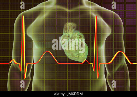 Illustration montrant un cœur recouvert d'un électrocardiogramme (ECG). Banque D'Images