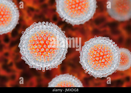 L'hépatite C, de l'illustration. L'hépatite C se transmet habituellement par contact sanguin, par des transfusions de sang ou le partage de seringues infectées. Elle provoque une inflammation du foie avec ictère et des symptômes de grippe. Il n'existe actuellement aucun vaccin pour l'hépatite C. Banque D'Images