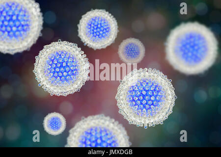 L'hépatite C, de l'illustration. L'hépatite C se transmet habituellement par contact sanguin, par des transfusions de sang ou le partage de seringues infectées. Elle provoque une inflammation du foie avec ictère et des symptômes de grippe. Il n'existe actuellement aucun vaccin pour l'hépatite C. Banque D'Images