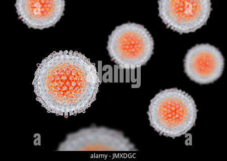 L'hépatite C, de l'illustration. L'hépatite C se transmet habituellement par contact sanguin, par des transfusions de sang ou le partage de seringues infectées. Elle provoque une inflammation du foie avec ictère et des symptômes de grippe. Il n'existe actuellement aucun vaccin pour l'hépatite C. Banque D'Images