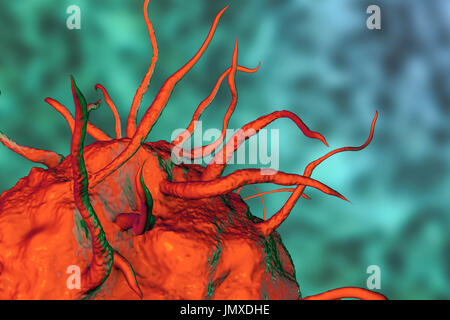 Macrophage, illustration de l'ordinateur. Banque D'Images