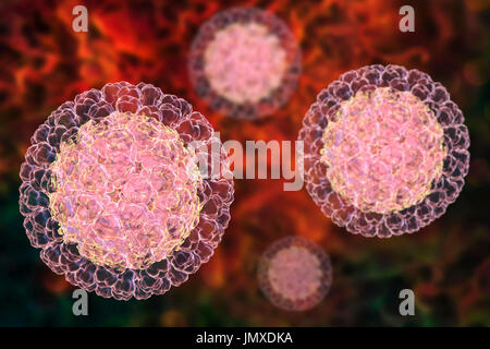 Les rotavirus, particules illustration de l'ordinateur. La particule virale est constituée d'un ARN (acide ribonucléique) noyau entouré d'une triple capside en couches. Les rotavirus sont probablement le plus commun des virus pour infecter les humains et les animaux. Ils sont associés à la gastro-entérite et la diarrhée - généralement d'infecter les intestins des enfants âgés de 6 mois à 3 ans. Les virus se propagent dans les fèces. Banque D'Images