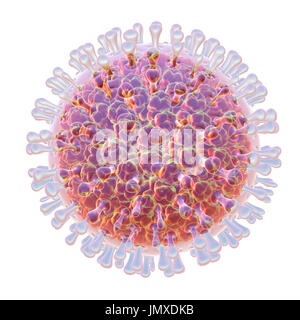 Les rotavirus, particules illustration de l'ordinateur. La particule virale est constituée d'un ARN (acide ribonucléique) noyau entouré d'une triple capside en couches. Les rotavirus sont probablement le plus commun des virus pour infecter les humains et les animaux. Ils sont associés à la gastro-entérite et la diarrhée - généralement d'infecter les intestins des enfants âgés de 6 mois à 3 ans. Les virus se propagent dans les fèces. Banque D'Images