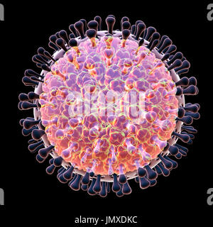 Les rotavirus, particules illustration de l'ordinateur. La particule virale est constituée d'un ARN (acide ribonucléique) noyau entouré d'une triple capside en couches. Les rotavirus sont probablement le plus commun des virus pour infecter les humains et les animaux. Ils sont associés à la gastro-entérite et la diarrhée - généralement d'infecter les intestins des enfants âgés de 6 mois à 3 ans. Les virus se propagent dans les fèces. Banque D'Images