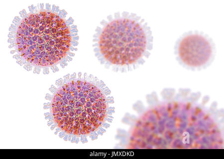 Les rotavirus, particules illustration de l'ordinateur. La particule virale est constituée d'un ARN (acide ribonucléique) noyau entouré d'une triple capside en couches. Les rotavirus sont probablement le plus commun des virus pour infecter les humains et les animaux. Ils sont associés à la gastro-entérite et la diarrhée - généralement d'infecter les intestins des enfants âgés de 6 mois à 3 ans. Les virus se propagent dans les fèces. Banque D'Images