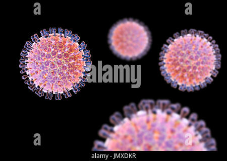 Les rotavirus, particules illustration de l'ordinateur. La particule virale est constituée d'un ARN (acide ribonucléique) noyau entouré d'une triple capside en couches. Les rotavirus sont probablement le plus commun des virus pour infecter les humains et les animaux. Ils sont associés à la gastro-entérite et la diarrhée - généralement d'infecter les intestins des enfants âgés de 6 mois à 3 ans. Les virus se propagent dans les fèces. Banque D'Images