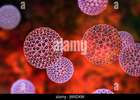 Les rotavirus, particules illustration de l'ordinateur. La particule virale est constituée d'un ARN (acide ribonucléique) noyau entouré d'une triple capside en couches. Les rotavirus sont probablement le plus commun des virus pour infecter les humains et les animaux. Ils sont associés à la gastro-entérite et la diarrhée - généralement d'infecter les intestins des enfants âgés de 6 mois à 3 ans. Les virus se propagent dans les fèces. Banque D'Images