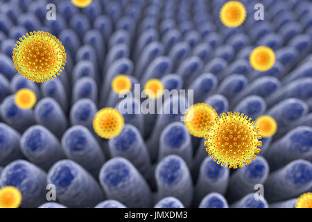 Les rotavirus infectant l'intestin, l'illustration de l'ordinateur. La particule virale est constituée d'un ARN (acide ribonucléique) noyau entouré d'une triple capside en couches. Les rotavirus sont probablement le plus commun des virus pour infecter les humains et les animaux. Ils sont associés à la gastro-entérite et la diarrhée - généralement d'infecter les intestins des enfants âgés de 6 mois à 3 ans. Les virus se propagent dans les fèces. Banque D'Images