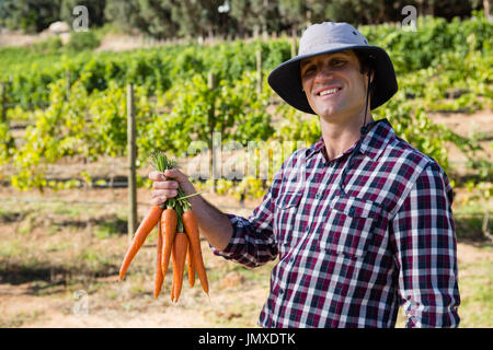 Portrait of farmer holding carottes récoltées dans la zone Banque D'Images